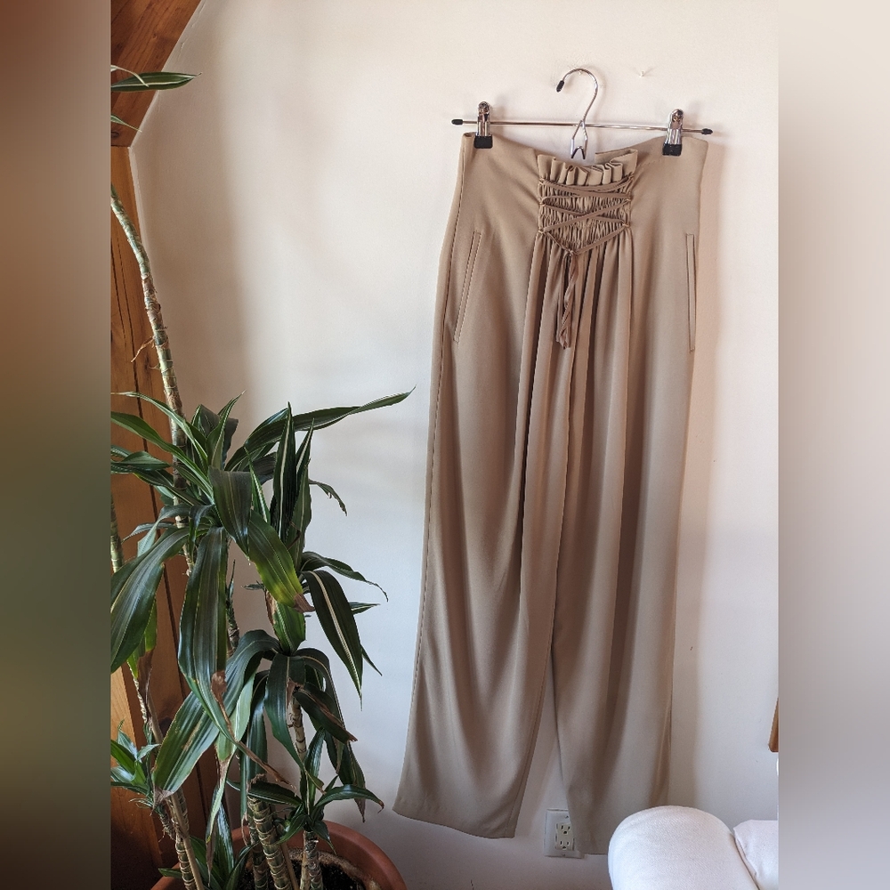 NWOT Aritzia Babaton Lebna High-waisted Wide Leg Lace Up Pants